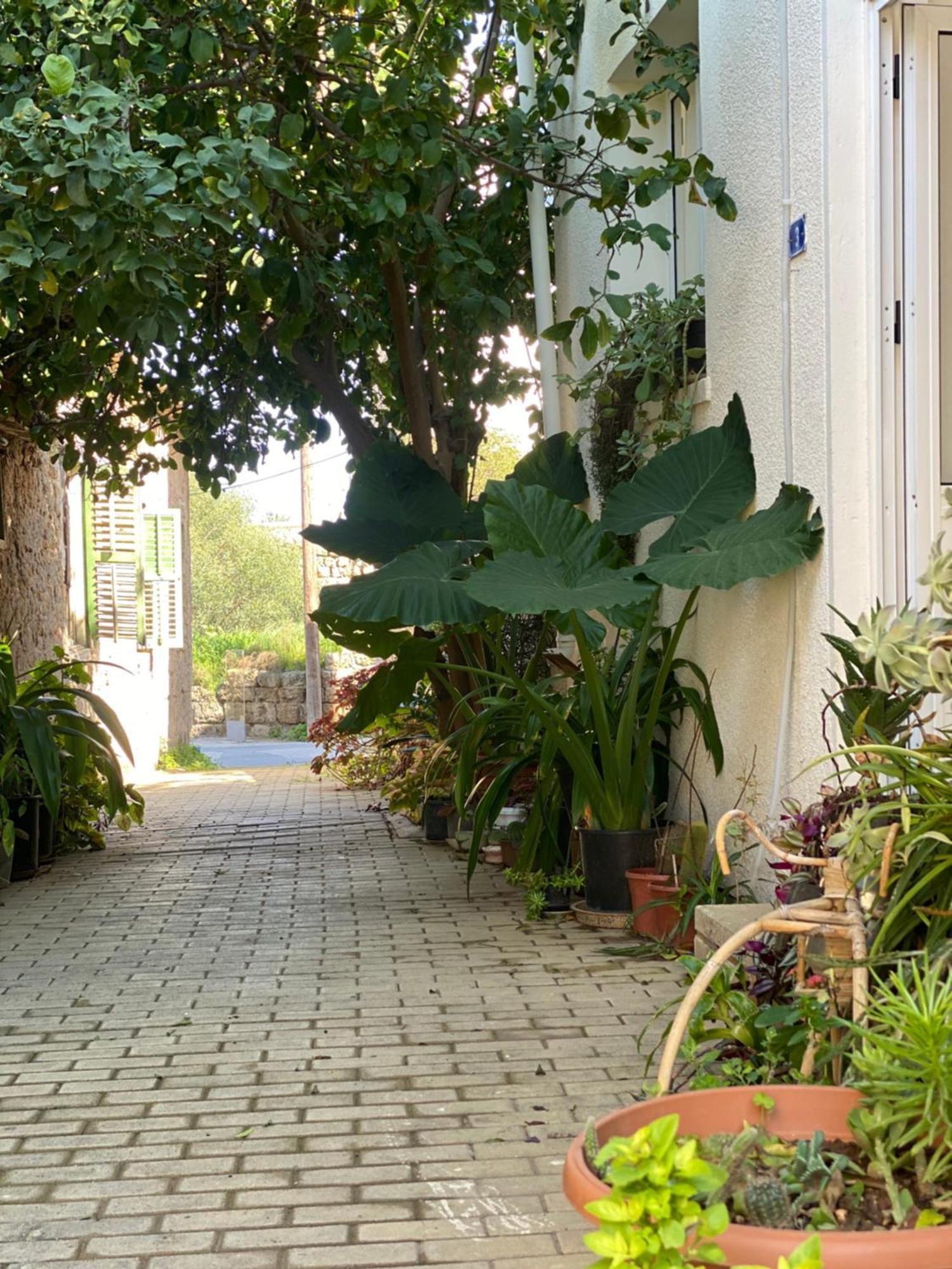 Grandmother'S House Famagusta  Exterior photo